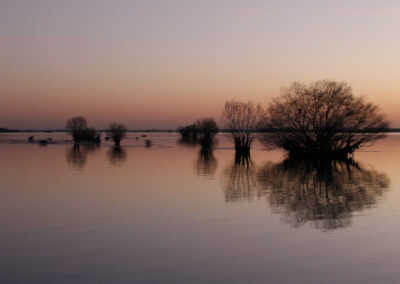 Photos récompensées