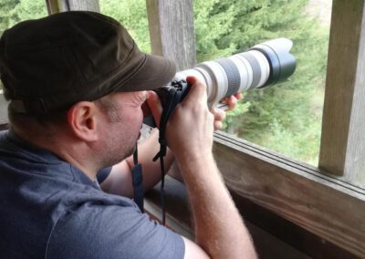 Stage Photo, Randonnée dans la Forêt de St-Michel